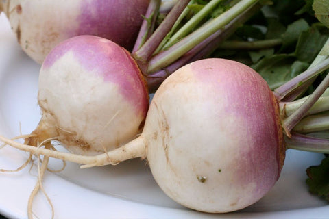 TURNIP