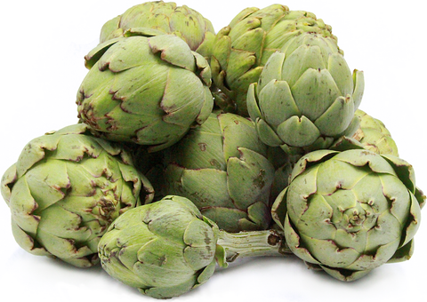 ARTICHOKE- BABY