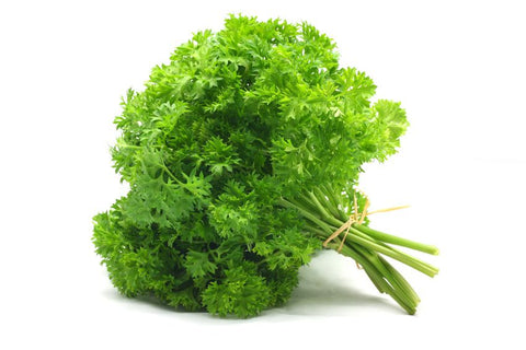 PARSLEY- CURLEY