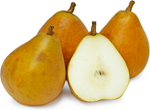 PEAR- TAYLOR GOLD