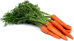 CARROTS- BUNCH