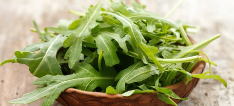 ARUGULA