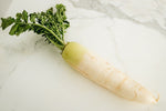 DAIKON