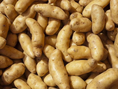 POTATO- FINGERLING