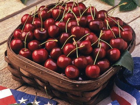 CHERRIES- BING
