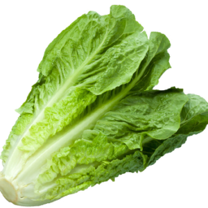 LETTUCE- ORGANIC