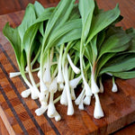 RAMPS