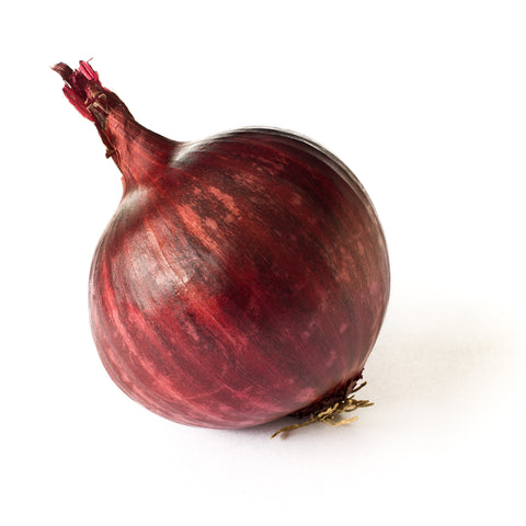ONION- RED
