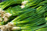 SCALLIONS