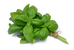 BASIL