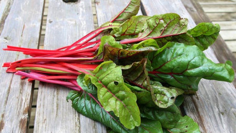 SWISS CHARD