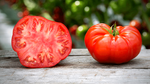 TOMATOES- BEEFSTEAK