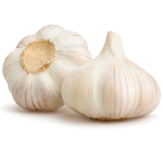 Bulb Garlic