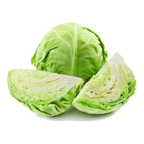 CABBAGE- GREEN