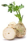 CELERY- ROOTS