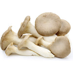 MUSHROOMS- OYSTER