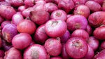 ONION- A.P.